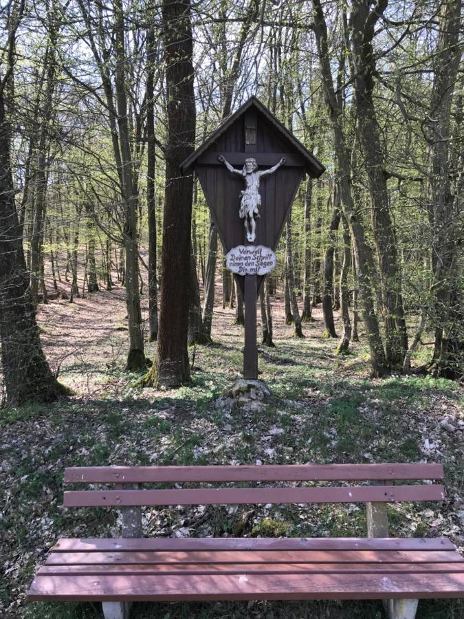 Pension-Ferienwohnung Liesbachtal Direkt Am Waldrand Bayerische Rhoen Schönau an der Brend 外观 照片
