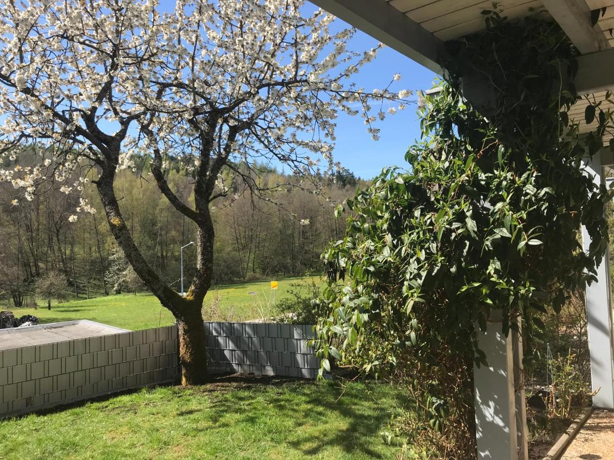 Pension-Ferienwohnung Liesbachtal Direkt Am Waldrand Bayerische Rhoen Schönau an der Brend 外观 照片