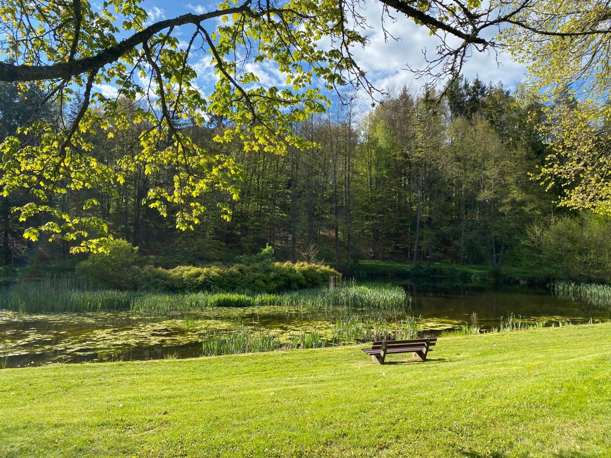 Pension-Ferienwohnung Liesbachtal Direkt Am Waldrand Bayerische Rhoen Schönau an der Brend 外观 照片