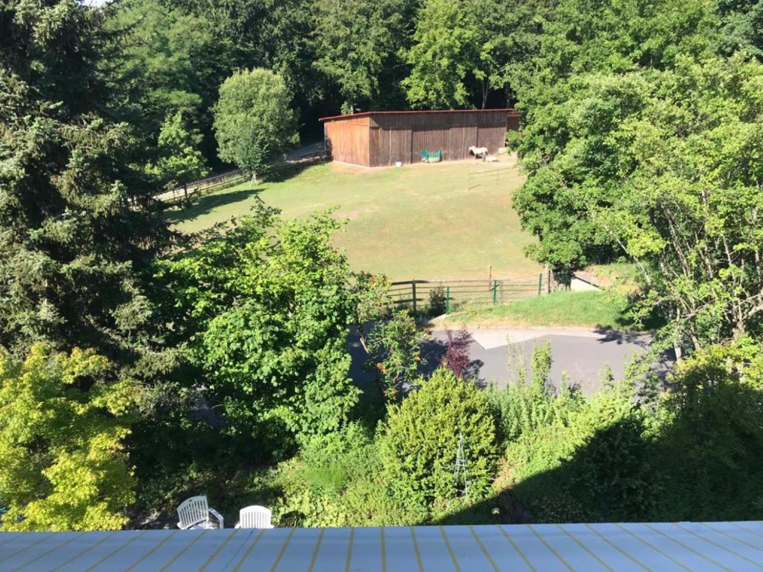 Pension-Ferienwohnung Liesbachtal Direkt Am Waldrand Bayerische Rhoen Schönau an der Brend 客房 照片
