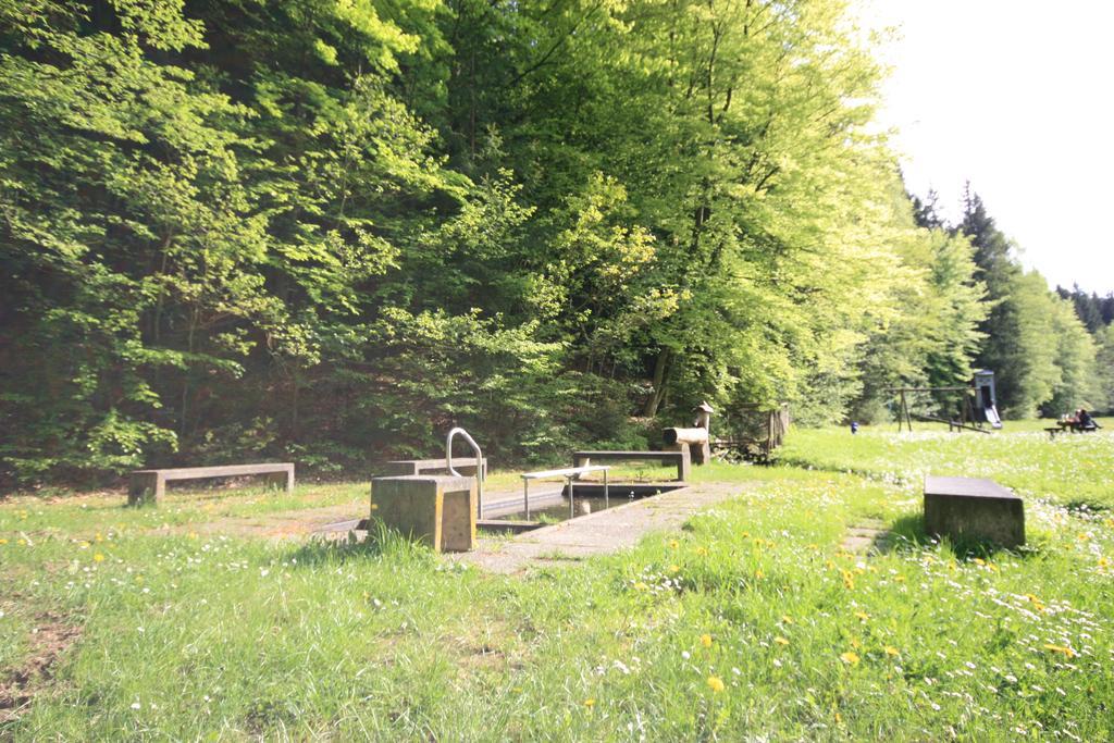 Pension-Ferienwohnung Liesbachtal Direkt Am Waldrand Bayerische Rhoen Schönau an der Brend 外观 照片