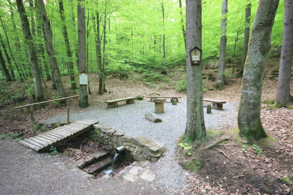 Pension-Ferienwohnung Liesbachtal Direkt Am Waldrand Bayerische Rhoen Schönau an der Brend 外观 照片